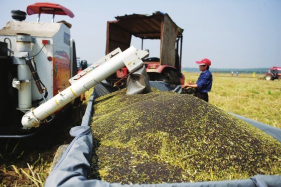 為什么微生物肥料是土壤污染的克星？