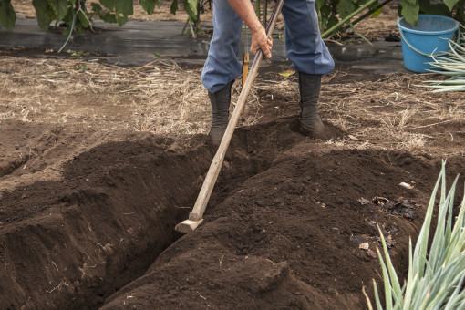 ?關(guān)于化肥的用途，化肥廠(chǎng)家為我們介紹