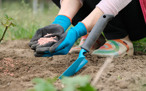 化肥廠(chǎng)家對(duì)農(nóng)業(yè)的作用